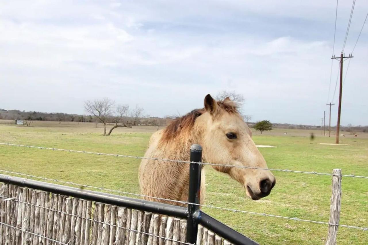 120 Acre Estate Watertubing, Livestock,Event Space Villa Waxahachie Luaran gambar